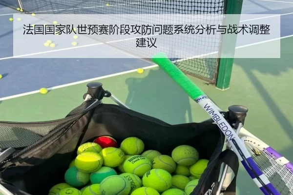 法国国家队世预赛阶段攻防问题系统分析与战术调整建议